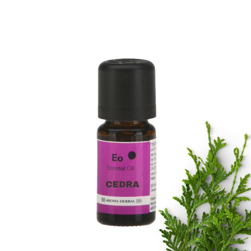 EO-cedra