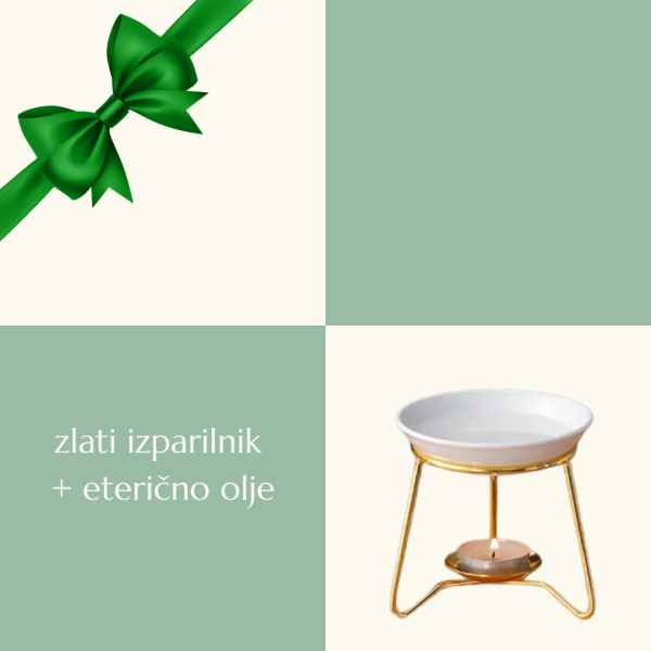 bozicnidarilnipaketizparilnik