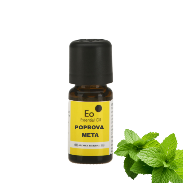 Poprova meta - (Mentha piperita)