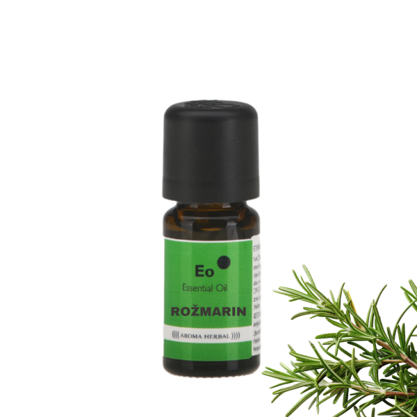 Rožmarin - (Rosmarinus  officinalis)