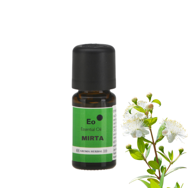 Mirta - (Myrtus communis)