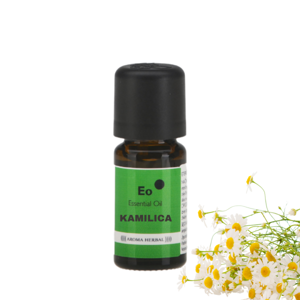 Kamilica  - (Anthemis nobilis)