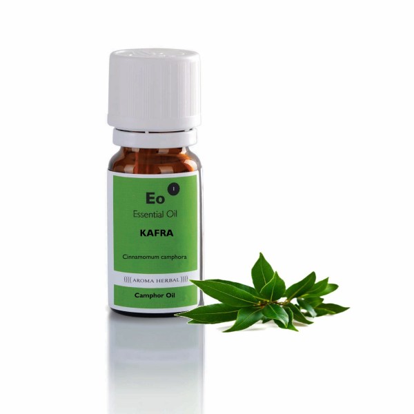 Kafra eterično olje - (Cinnamomum camphora)