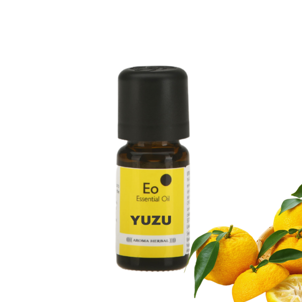 Yuzu - Citrus junos